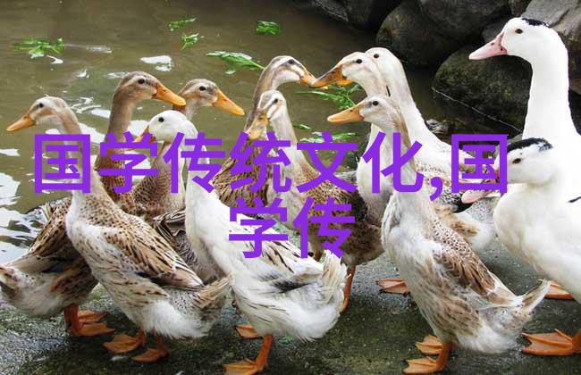 郦波讲明史我和当年明月有共鸣