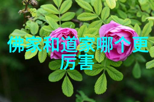深山寻访道教文化遗存