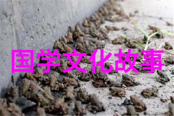 豹死留皮人死留名